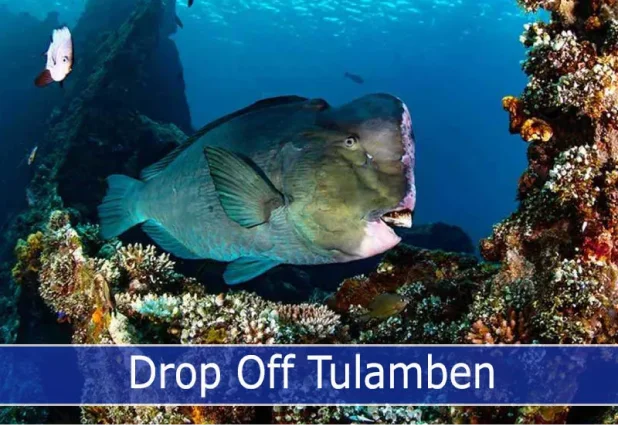 Explore the Stunning Drop-Off Dive Site in Tulamben